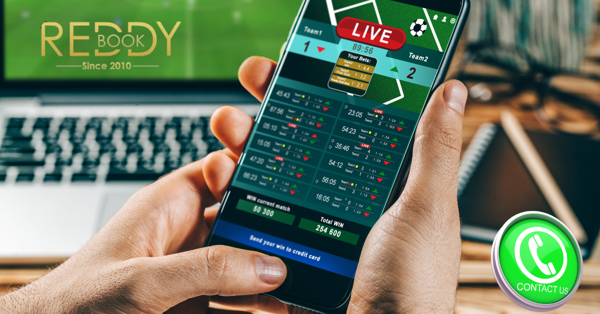 Read more about the article Reddybook WhatsApp Number: Your Direct Line for Fast Support & Seamless Assistance